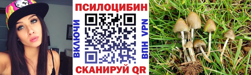 Галлюциногенные грибы MAGIC MUSHROOMS  Саров 