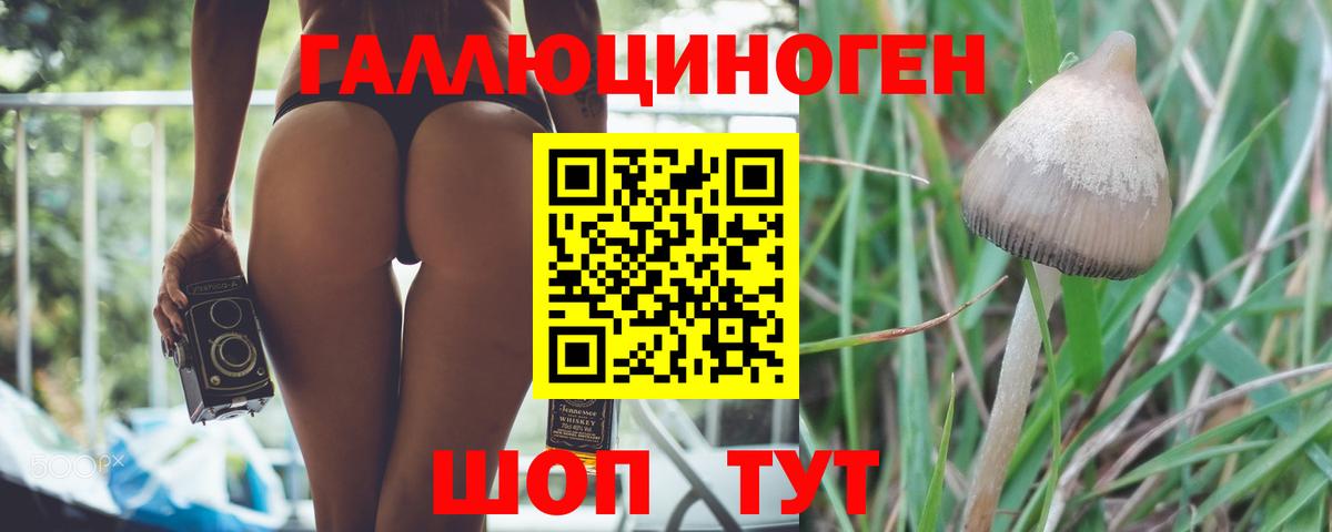 Галлюциногенные грибы Magic Shrooms  Псилоцибиновые грибы прущие грибы  Вход с VPN  Саров 