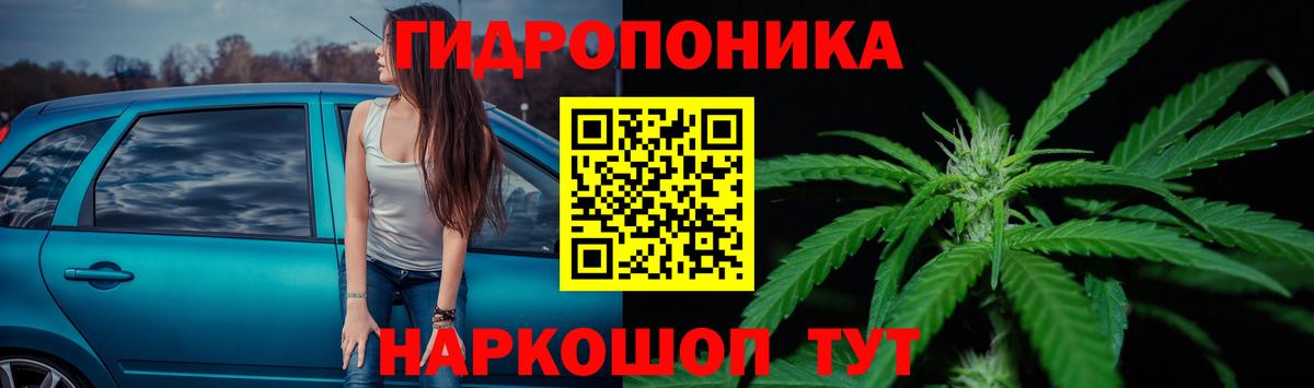 Конопля White Widow Саров